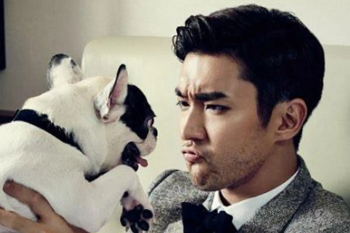 Siwon `Super Junior`