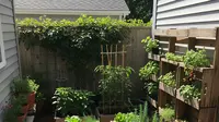 9 Model Kebun Mini dari Kayu Bekas, Solusi Kreatif dan Ramah Lingkungan untuk Lahan Terbatas