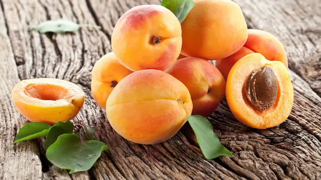 Manfaat Aprikot untuk Perawatan Kulit