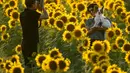 Seorang wanita dengan seekor anjing berpose untuk foto di ladang bunga matahari di Gritter Farms, dekat Lawrence, Kansas (6/9/2021). Ladang, yang ditanam setiap tahun oleh keluarga Grinter, menarik ribuan pengunjung selama akhir pekan musim panas saat bunga matahari mekar. (AP Photo/Charlie Riedel)