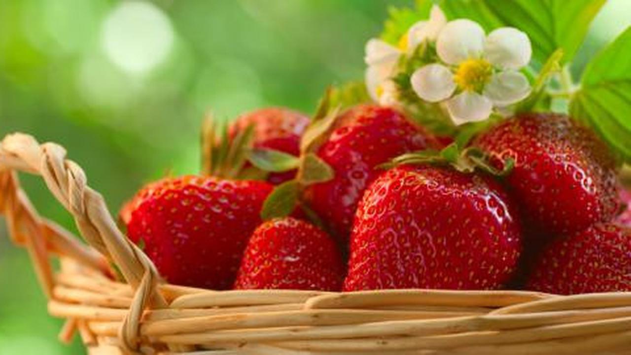 6 Fakta unik tentang strawberry