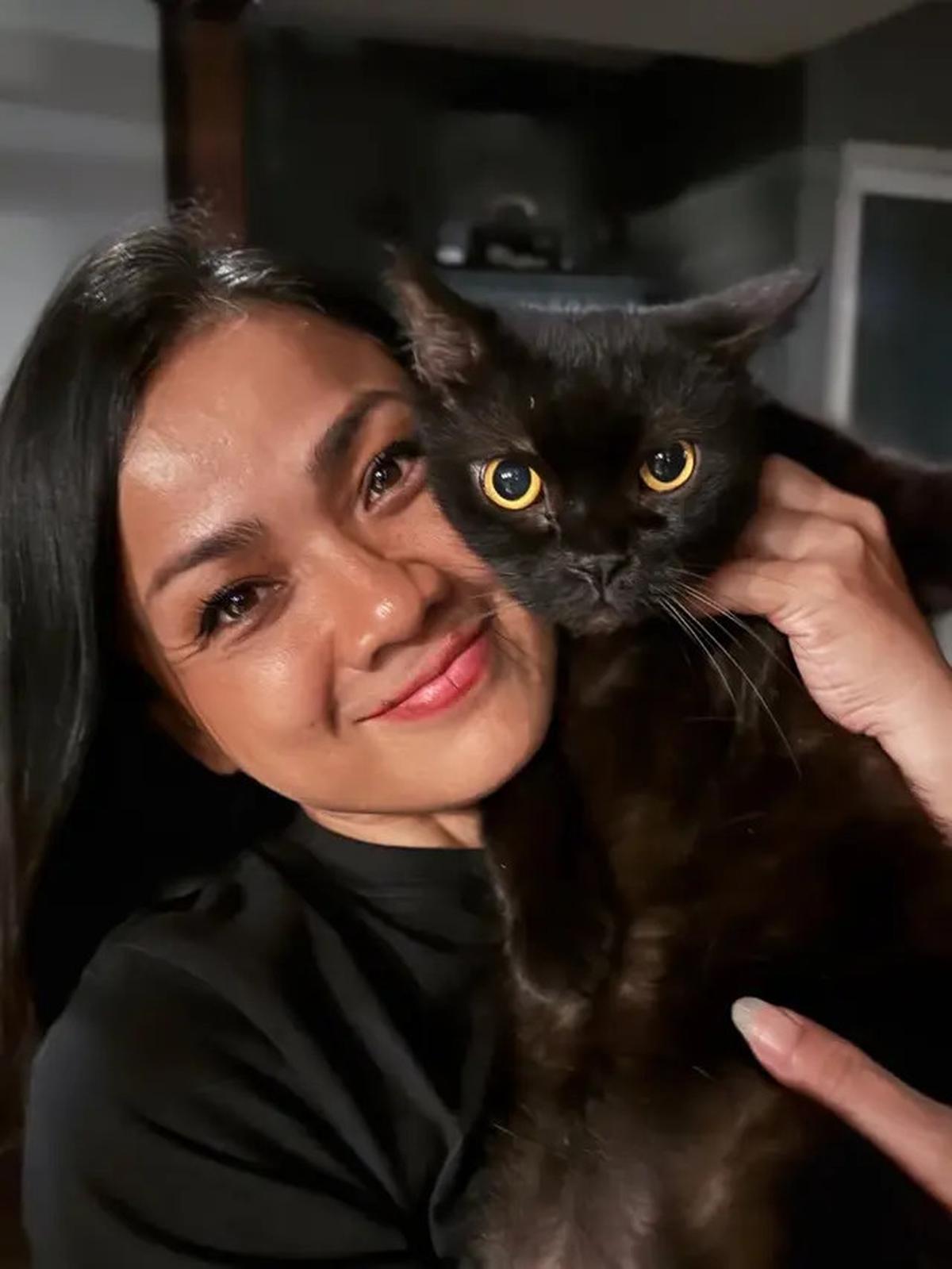 Foto-Foto Kucing Nirina Zubir, Banyak yang Diselamatkan dari Jalanan