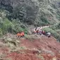 Longsor melanda Jalan Poros Desa Bonglo, Kecamatan Bastem Utara, Kabupaten Luwu, Sulsel, Senin (26/2/2024). (Liputan6.com/ Dok BPBD Sulsel)