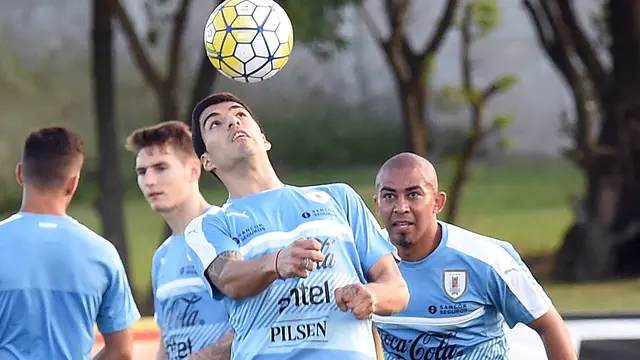 Luis Suarez