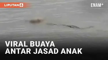 Sebuah video buaya membawa jasad anak 4 tahun viral di media sosial. Peristiwa itu disebut terjadi di Sungai Mahakam, Kutai Kartanegara, Kalimantan Timur (20/1/2023). Jasad itu disebut merupakan anak yang dilaporkan hilang pada Rabu (18/1/2023).