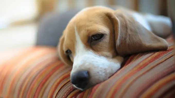 Photo: Copyright Thinkstockphotos.com