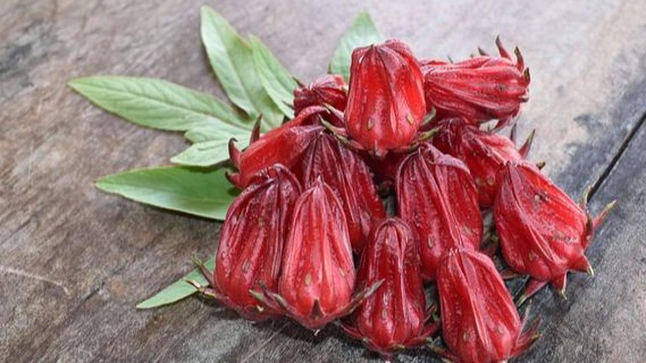 Cara Mengonsumsi Bunga Rosella