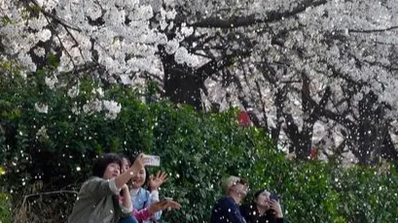 Lantas apa yang membuat ekonomi Korea Selatan lebih maju dari Indonesia?