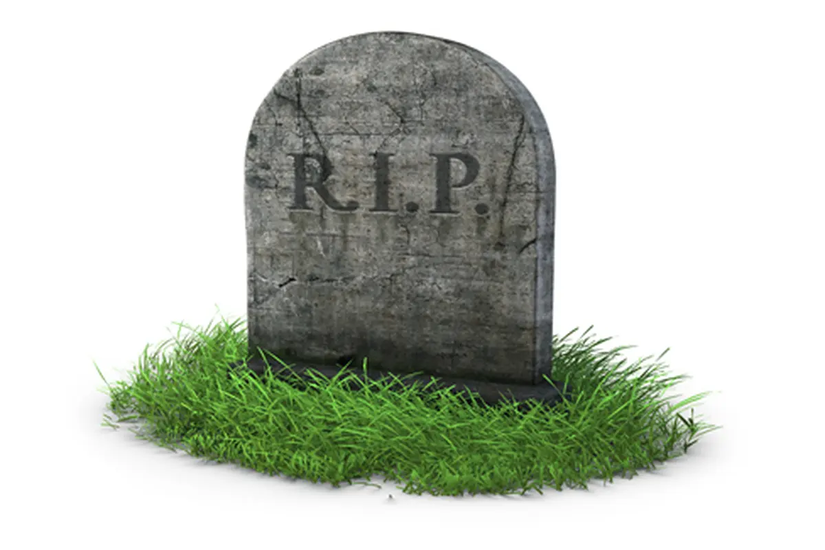 courtesy shutterstock