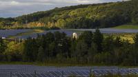 Perkebunan tenaga surya mengelilingi pepohonan di Cornell University di Ithaca, NY. (Heather Ainsworth/AP)