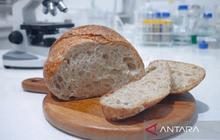 BRIN Kembangkan Inovasi Sourdough Beras Lokal Gunungkidul yang Kaya Nutrisi