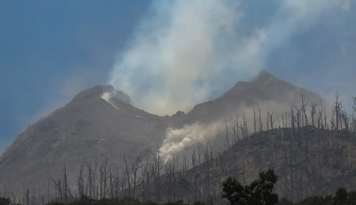 Asap mengepul dari Gunung Lewotobi Laki-Laki yang terlihat dari Desa Klatanlo, di Kabupaten Flores Timur, Nusa Tenggara Timur, pada tanggal 4 November 2024. (ARNOLD WELIANTO/AFP)