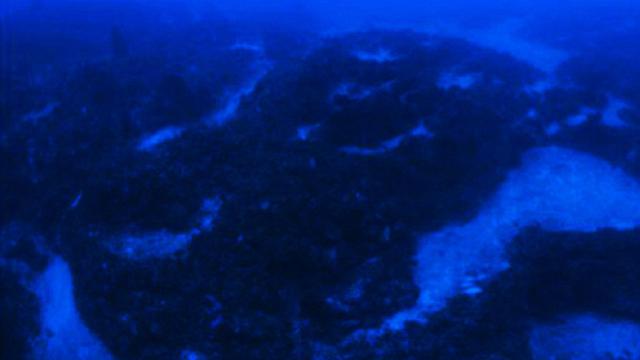 Bikin Merinding, Begini Potret Pesawat Asing yang Ditemukan pada Segitiga Bermuda