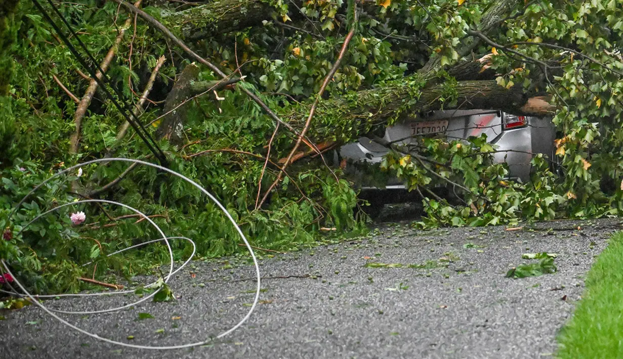 Dampak buruk dari badai ini terlihat dari adanya dua korban jiwa yang dilaporkan, akibat banyaknya pohon dan kabel listrik yang tumbang. (Jerry Jackson/The Baltimore Sun via AP)