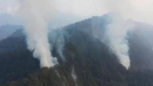 BNPB Siapkan Hujan Buatan Atasi Kebakaran Gunung Arjuno-Welirang