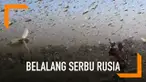 Warga dikejutkan dengan munculnya segerombolan belalang yang menyerbu kota di Rusia.