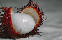 Mengapa Rambutan Buat Batuk Lebih Mudah Kambuh Dibanding Buah-buahan Lainnya?