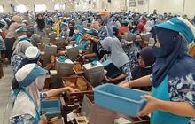 Pemerintah Berencana Tetapkan Aturan Tar dan Nikotin, Industri Rokok Terancam PHK Massal