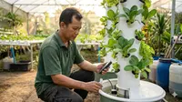 Cara Membuat Hidroponik Tower yang Praktis untuk Pemula