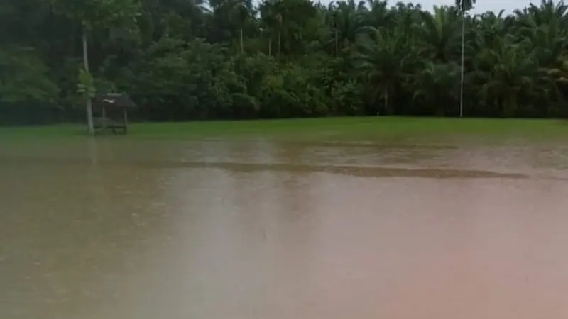 Banjir di persawahan. Dok Kementan