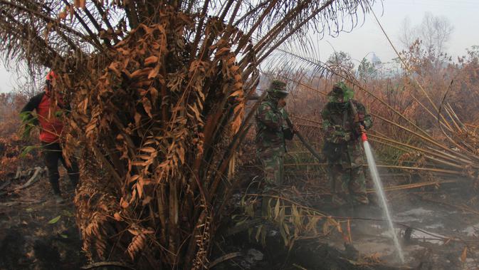 Personel TNI berupaya melakukan pemadaman di tengah pekatnya asap kebakaran lahan gambut di Kampar, provinsi Riau pada 17 September 2019. Kebakaran hutan dan lahan (karhutla) yang masih terjadi membuat sejumlah wilayah di Provinsi Riau terpapar kabut asap. (AP/Rafka Majjid)