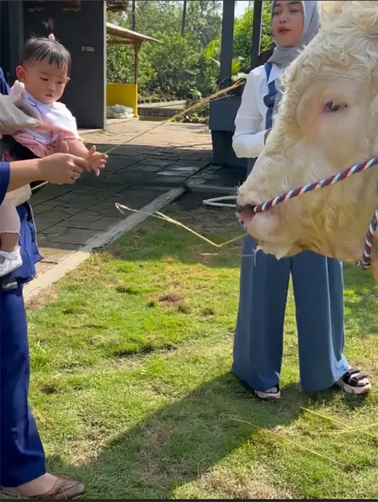 "Jadi kita lagi pilih-pilih lagi cari sapi terbaik untuk qurban di tahun ini," kata Ricis seperti dilansir dari kanal Youtubenya, Ricis Official. [Instagram/riaricis1795]