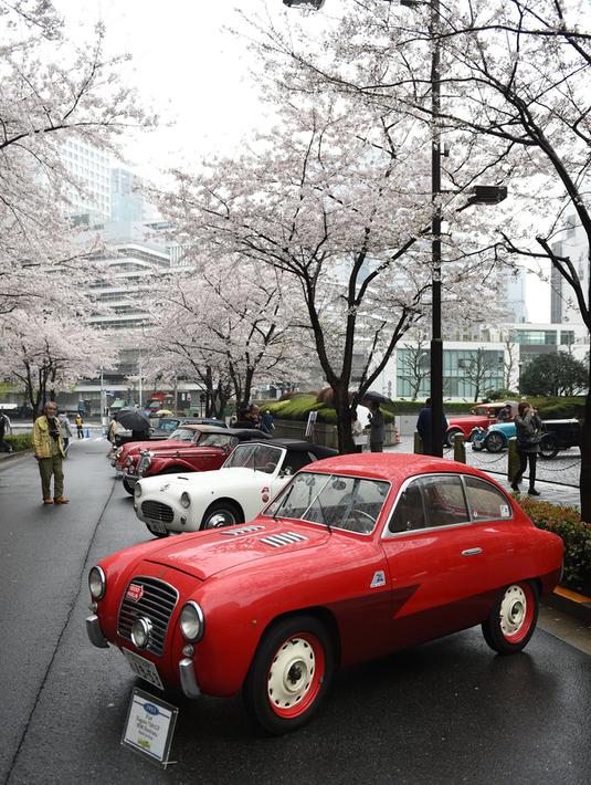 Fiat Zagato 750GT MM Derivata 1953 saat dipamerkan dalam acara Japan Classic Automobile 2016 di Tokyo, Minggu (4/3). Pameran mobil klasik ini diadakan dibawah pohoh sakura. (AFP/Toshifumi Kitamura)