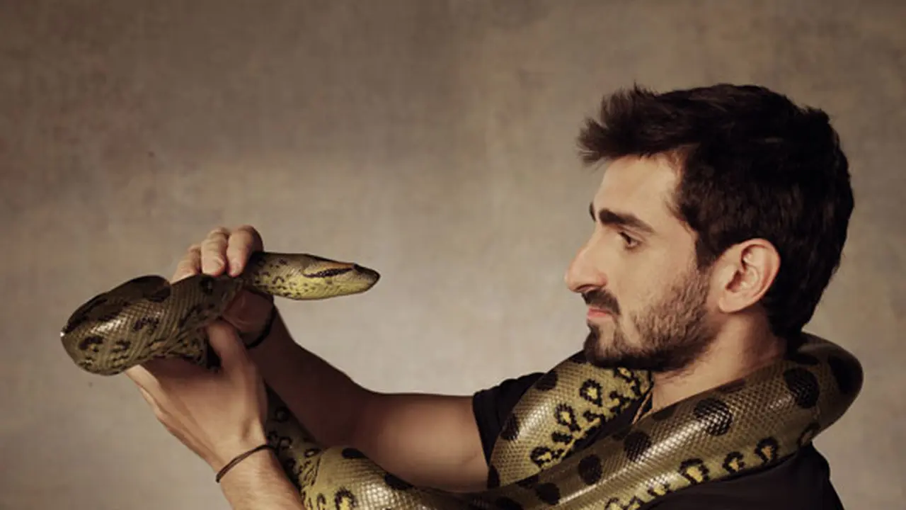 Dipaksa Muntahkan Penyiar TV, Anaconda Bisa Mati?