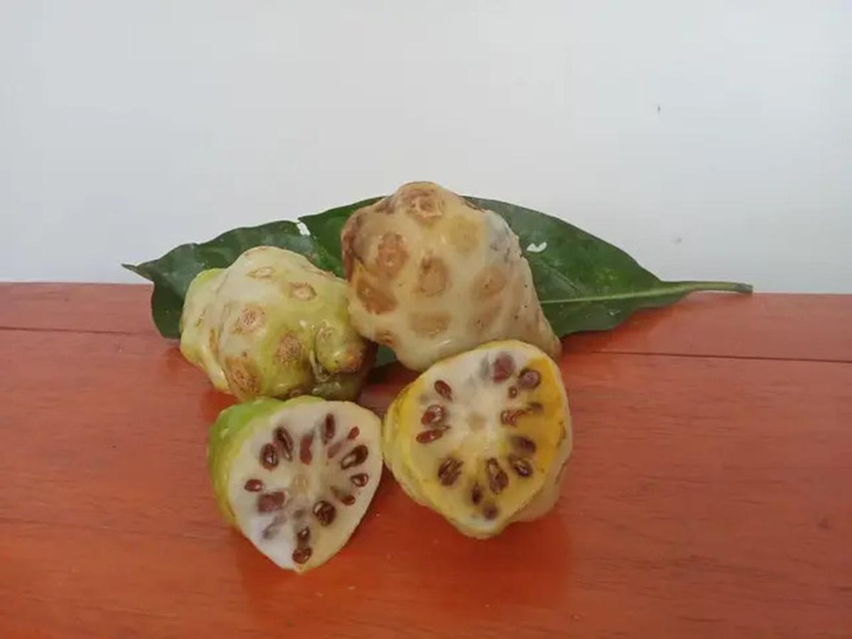 Resep Jamu Tradisional untuk Hidup Lebih Fit, Rahasia Sehat Orang Indonesia