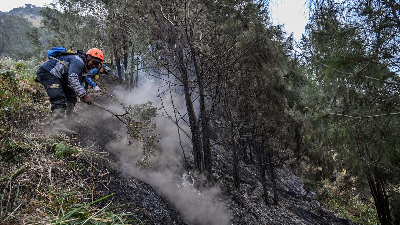 Karhutla Gunung Bromo Meluas Hingga 550 Hektare