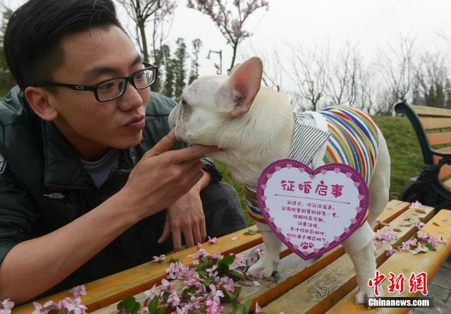 Anjing bersama sang tuan yang begitu menyayanginya | Photo: Copyright shanghaiist.com