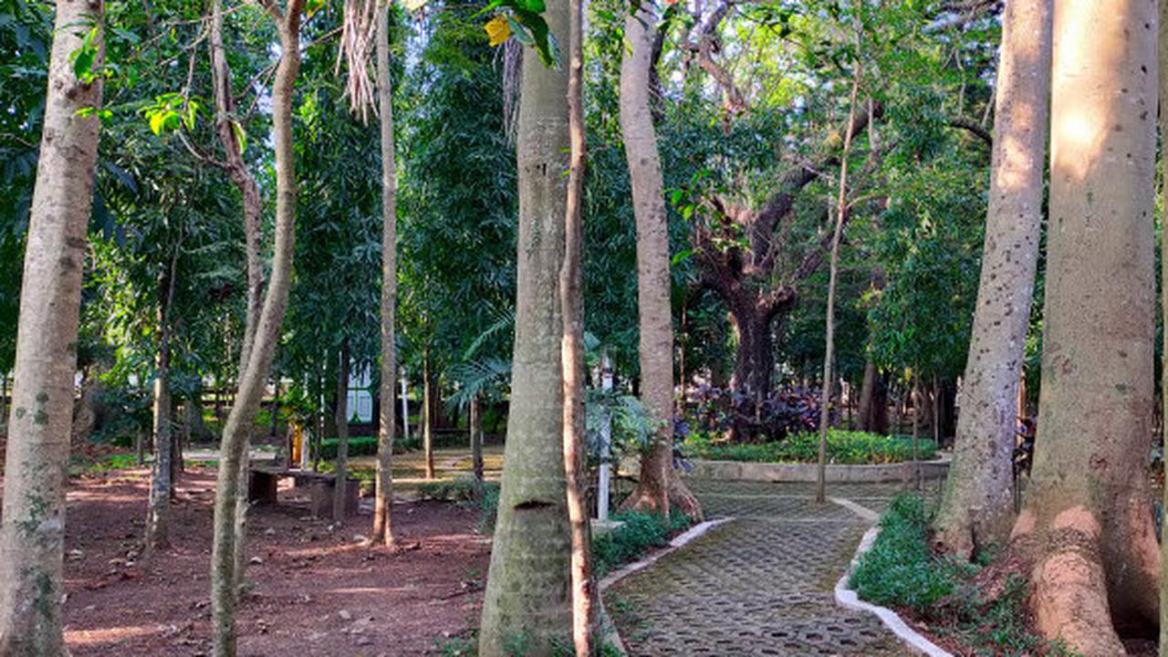 Tekan Emisi Karbon, Holding BUMN Jasa Survei dan UI Promosikan Hutan Kota