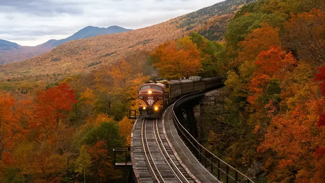 Autumn
