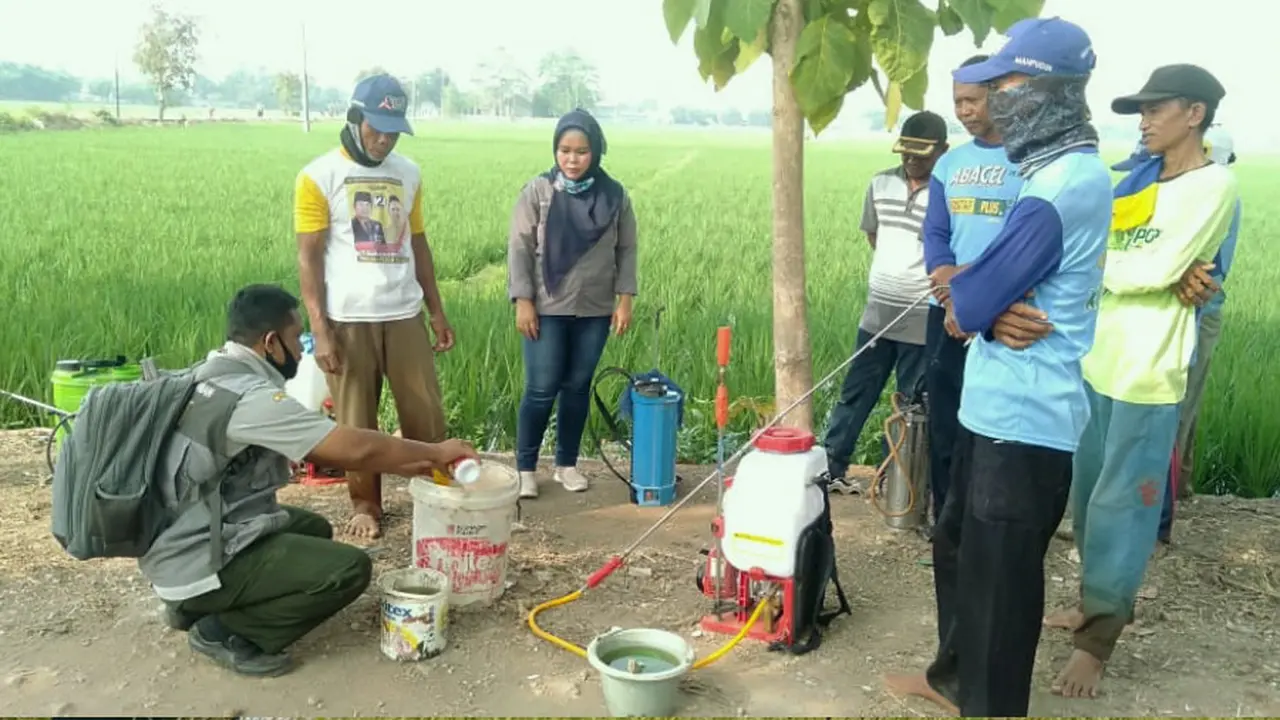 Kementan Tanaman Pangan