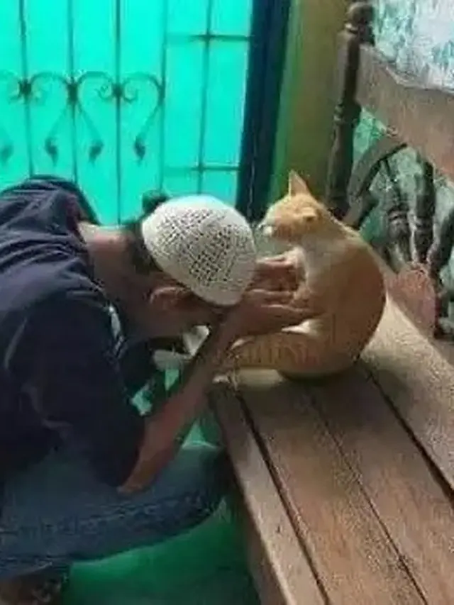 6 Potret Orang Terpaksa Mengalah Dari Kucing Ini Bikin Senyum