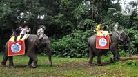 Pengunjung berkeliling dengan gajah di Taman Safari Indonesia (TSI) di Cisarua, Bogor, Kamis (20/5/2021). Walaupun libur lebaran sudah berakhir wiasatawan masih memadati kawasan TSI Bogor dengan menerapkan protokol kesehatan dan membatasi pengunjung hingga 50 persen.
(merdeka.com/ Arie Basuki)