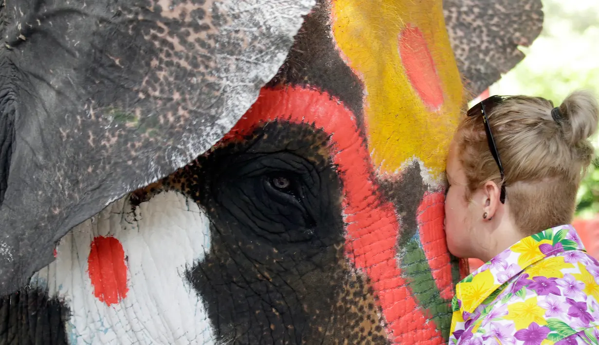 Seorang wisatawan asing menciun gajah saat perayaan Songkran di provinsi Ayutthaya, Thailand (11/4). Songkran menandai akhir dari musim kemarau dan awal musim hujan tahunan di bulan kelima tahun lunar Thailand. (AP Photo/Sakchai Lalit)