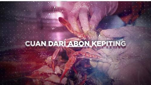 VIDEO BERANI BERUBAH: Cuan dari Abon Kepiting