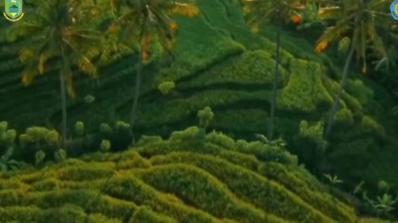 Hadirkan Terasering Sawah dan Deretan Bukit