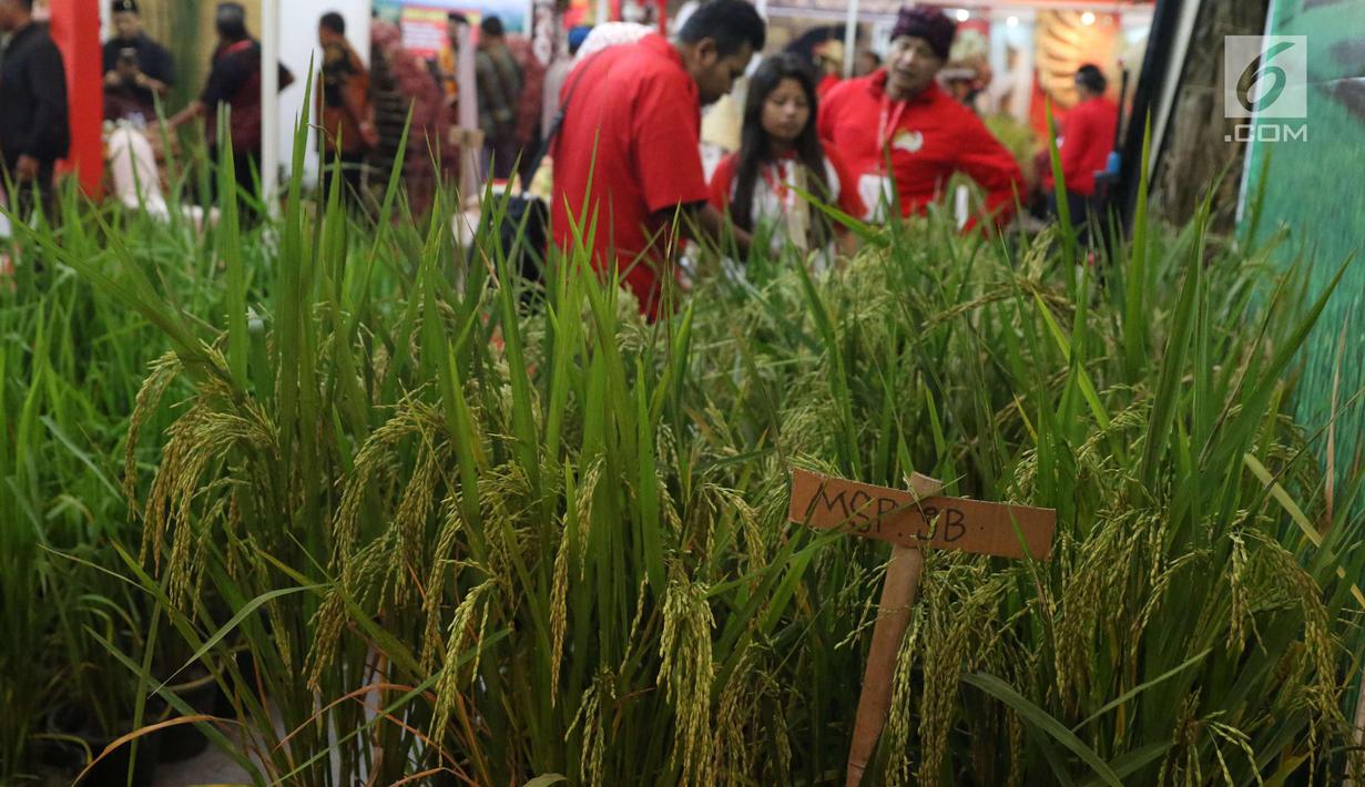 Sejumlah peserta Rakornas PDI Perjuangan melihat pameran di ICE BSD, Tangerang Selatan, Sabtu (16/12). Pameran tersebut menyuguhkan prodak pertanian perternakan dan UMKM prodak lokal. (Liputan6.com/Angga Yuniar)