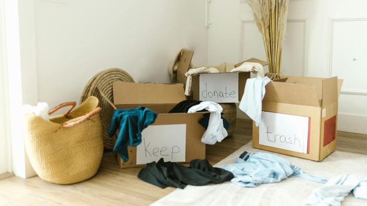 9 Cara Mencegah Tikus Kembali ke Rumah Setelah Diusir, Dijamin Efektif