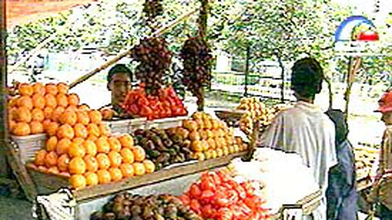 300302aJeruk.jpg