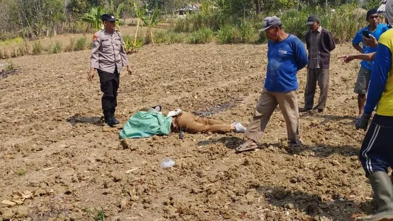 Sekdes di Tuban ditemukan tewas di tengah persawahan. (Istimewa)