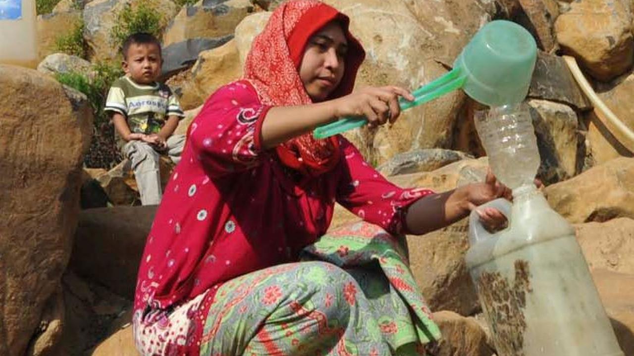 El Nino Berpotensi Ganggu Stok Pangan Indonesia, Apa Solusinya