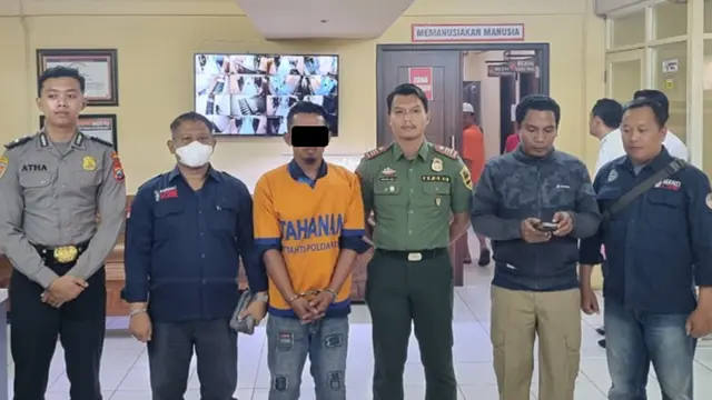 Rangkaian Kasus Pembalakan Liar