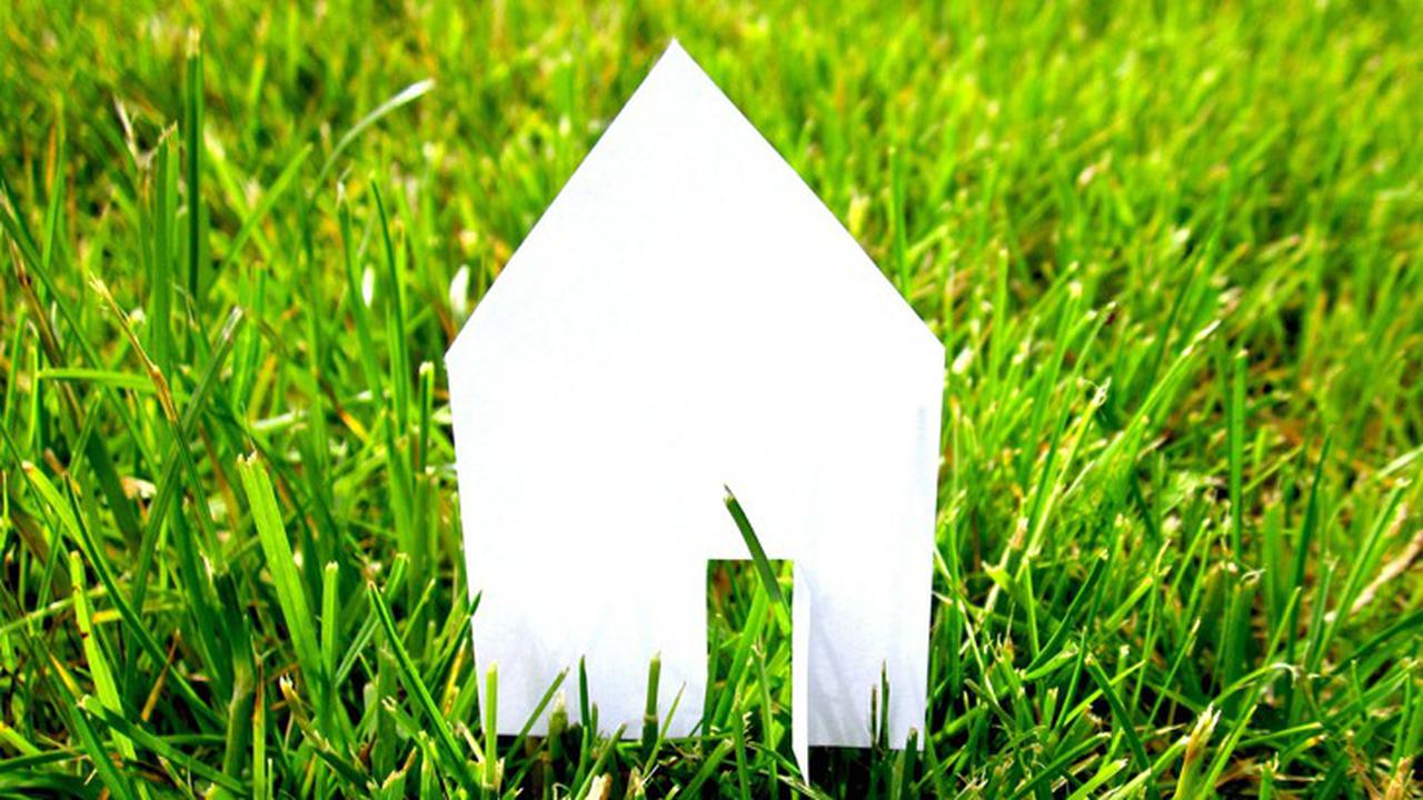 20160906-pelihara rumput-rumahcom-boy