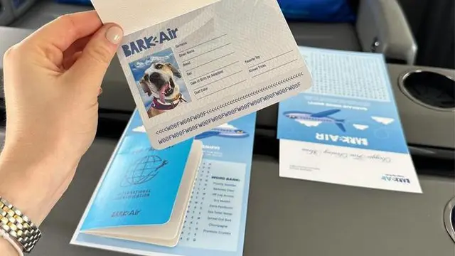BARK Air, Maskapai Penerbangan untuk Anjing, Lakukan Penerbangan Pertamanya dari New York