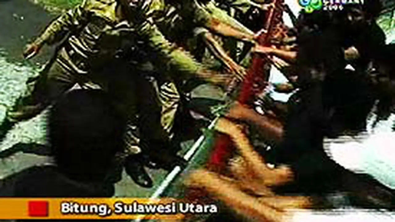 111005alintasderah.jpg