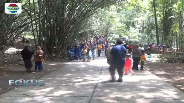 Hamparan pohon bambu serta suasana asri pedesaan akan menyapa tiap pengunjung yang datang ke Hutan Bambu Semeru.