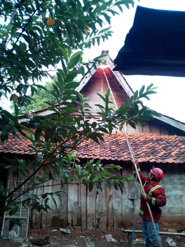 Pemusnahan sarang tawon Ndas, di Tuban, Jawa Timur. (Foto: Liputan6.com/Ahmad Adirin)